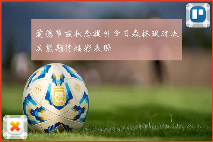 爱德华兹状态提升今日森林狼对决灰熊期待精彩表现